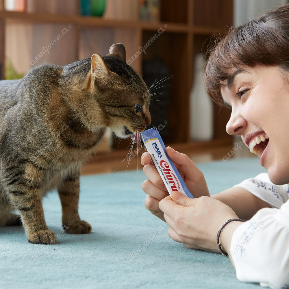 Snack Cremoso Churu Tuna with Chicken Recipe Gato 4 un